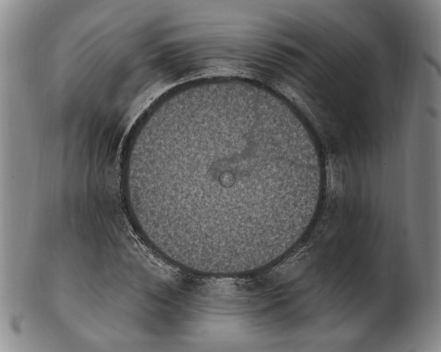 X0000102460828200808081225