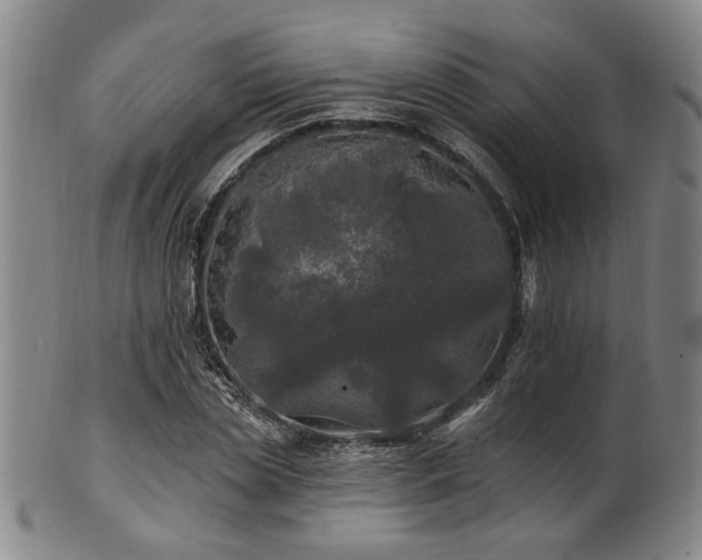 X0000102460829200808081225