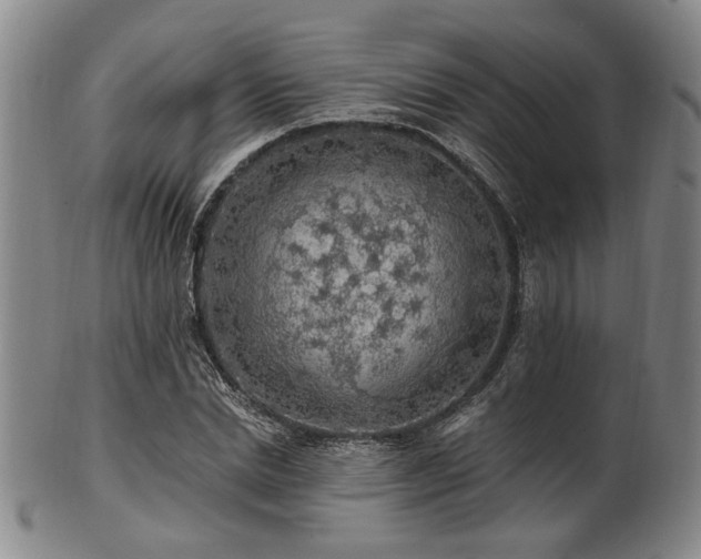 X0000102460830200808081225