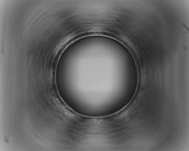 X0000102460831200808081225
