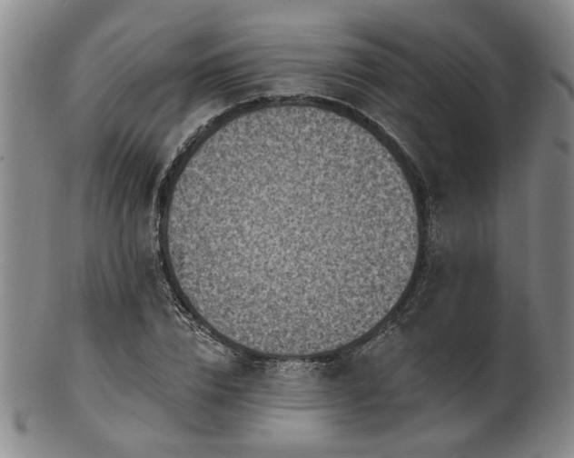 X0000102460832200808081225