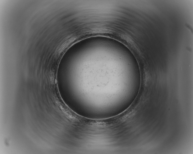 X0000102460833200808081225