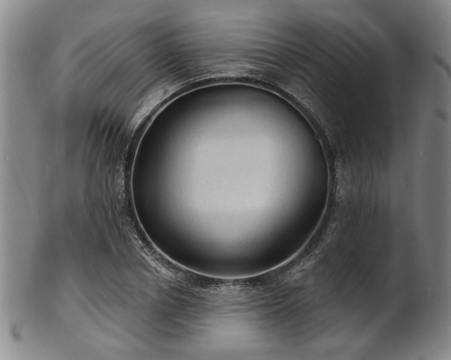 X0000102460834200808081225