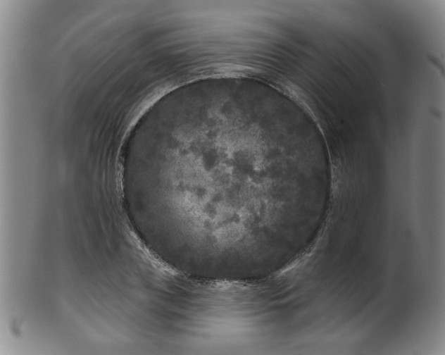 X0000102460835200808081225