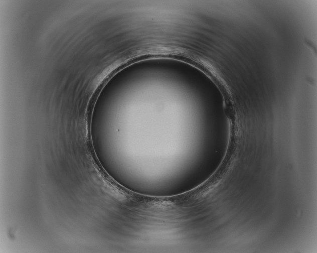 X0000102460837200808081225