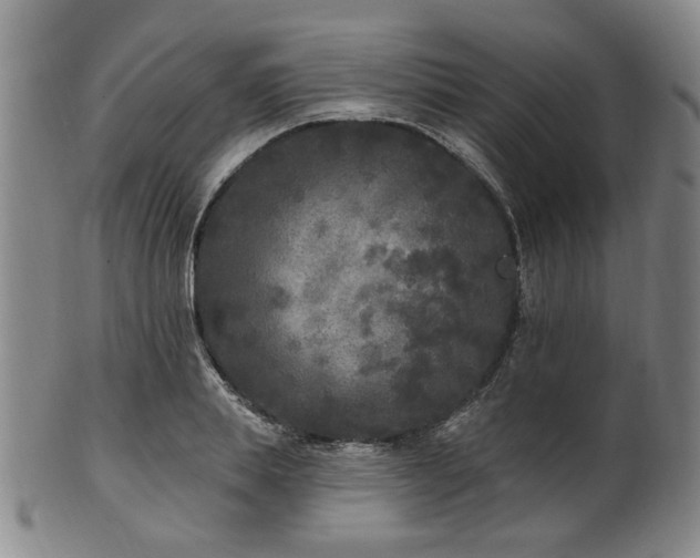 X0000102460839200808081225