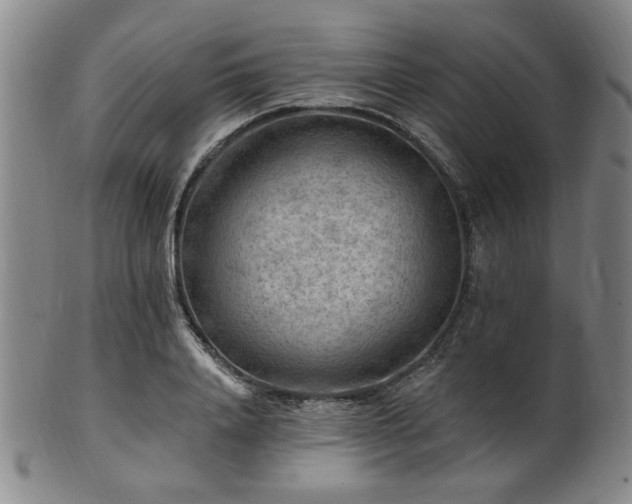 X0000102460840200808081225