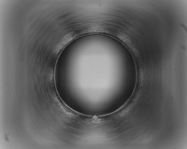 X0000102460841200808081225