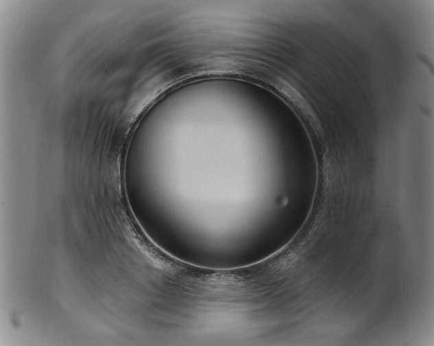 X0000102460842200808081225