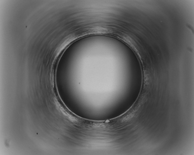 X0000102460843200808081225