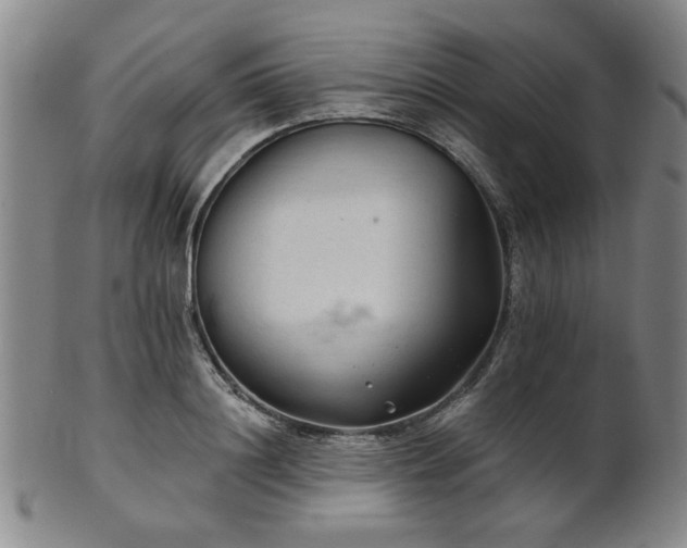 X0000102460844200808081225