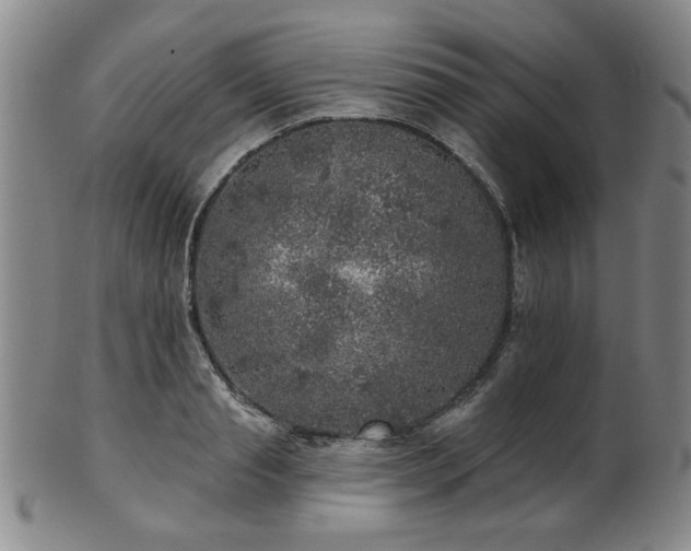 X0000102460845200808081225