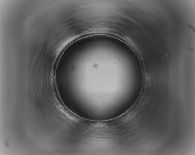 X0000102460846200808081225