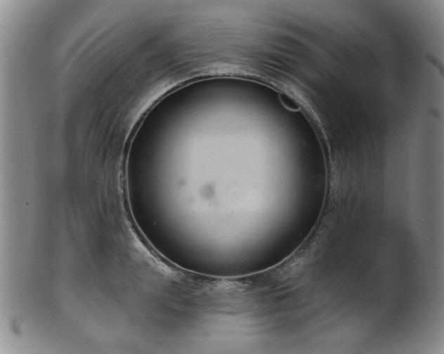 X0000102460847200808081225