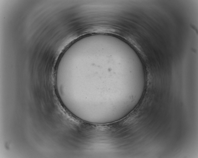 X0000102460848200808081225