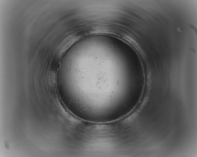 X0000102460849200808081225