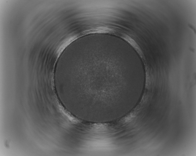 X0000102460850200808081225