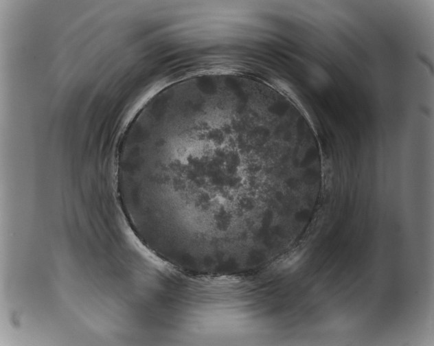 X0000102460851200808081225