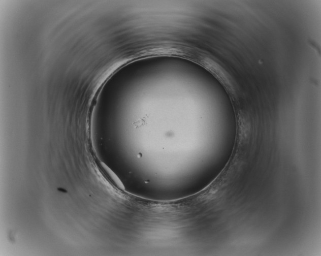 X0000102460852200808081225
