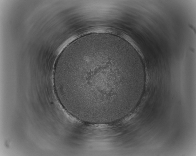 X0000102460853200808081225