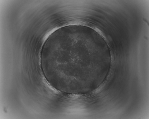 X0000102460854200808081225