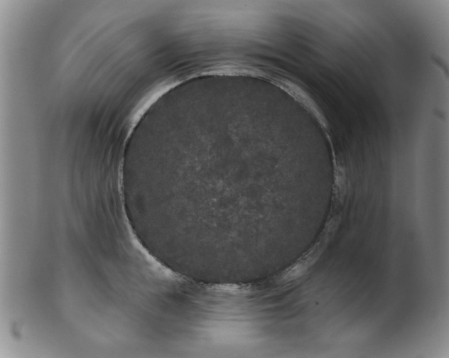 X0000102460855200808081225