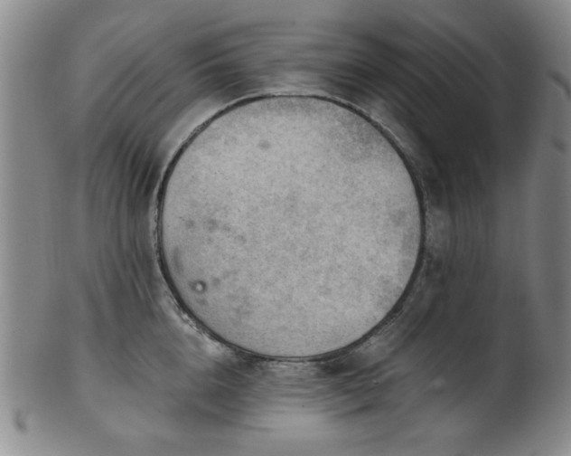 X0000102460856200808081225