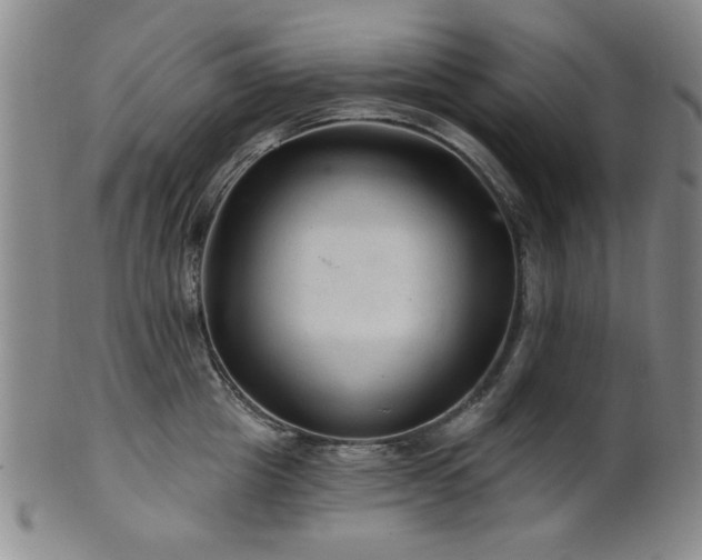 X0000102460857200808081225