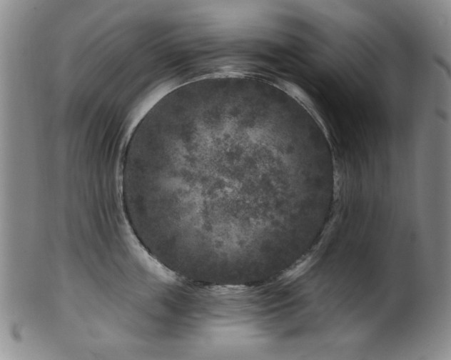 X0000102460859200808081226