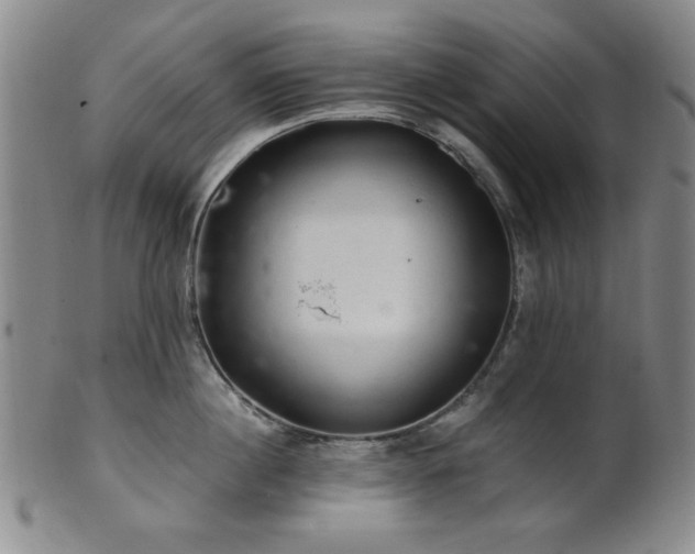 X0000102460860200808081226