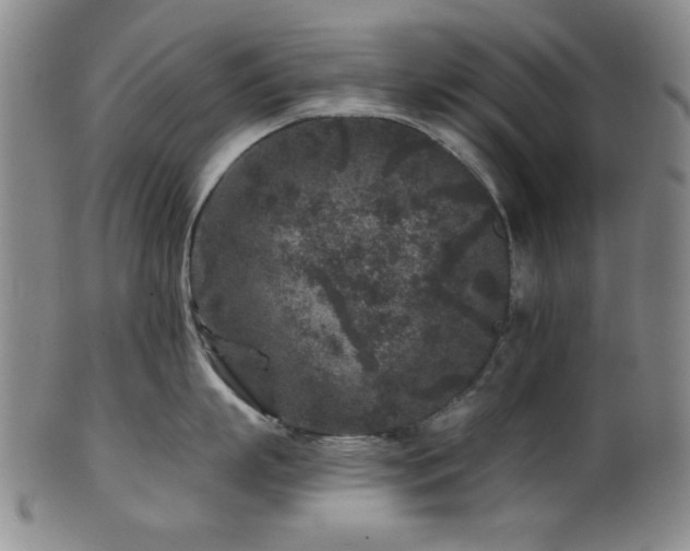 X0000102460863200808081226