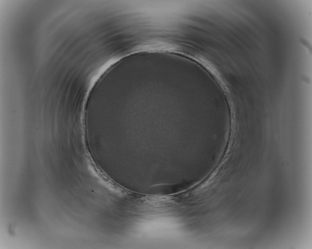 X0000102460864200808081226