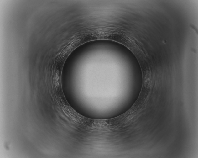 X0000102460866200808081225