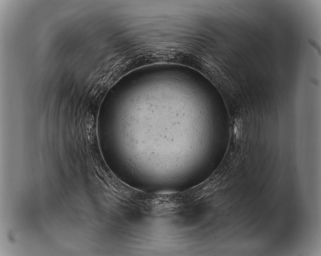 X0000102460867200808081225