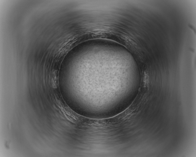 X0000102460868200808081225