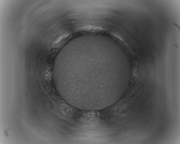 X0000102460869200808081225