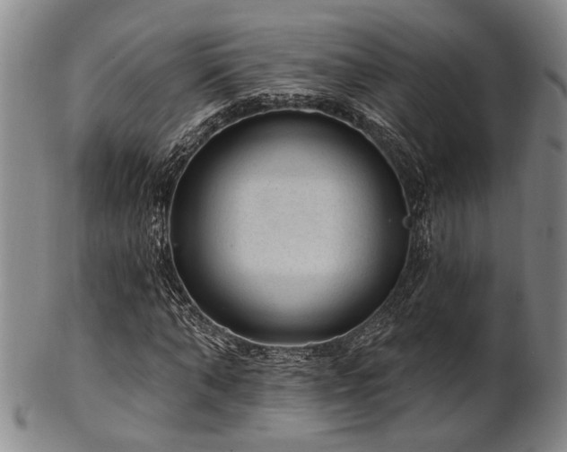 X0000102460870200808081225