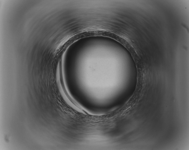 X0000102460871200808081225