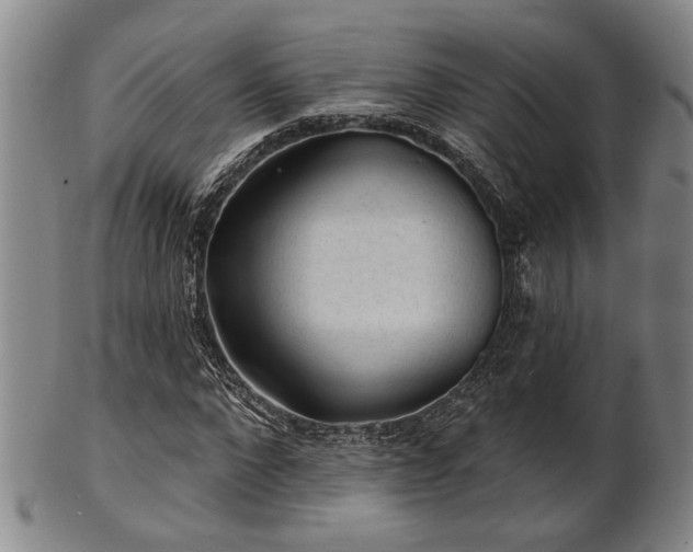 X0000102460872200808081225