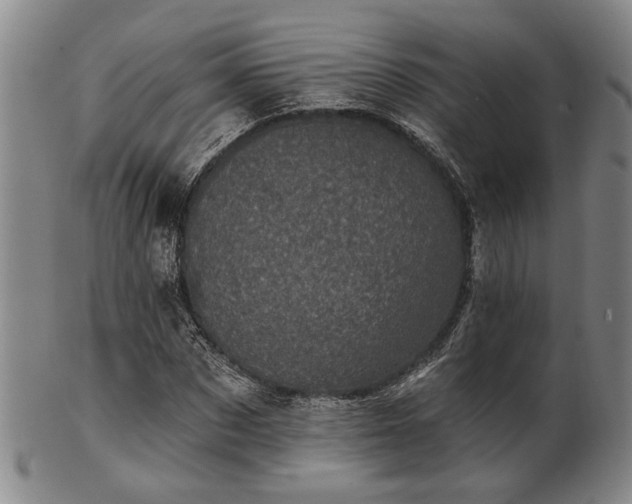 X0000102460873200808081225
