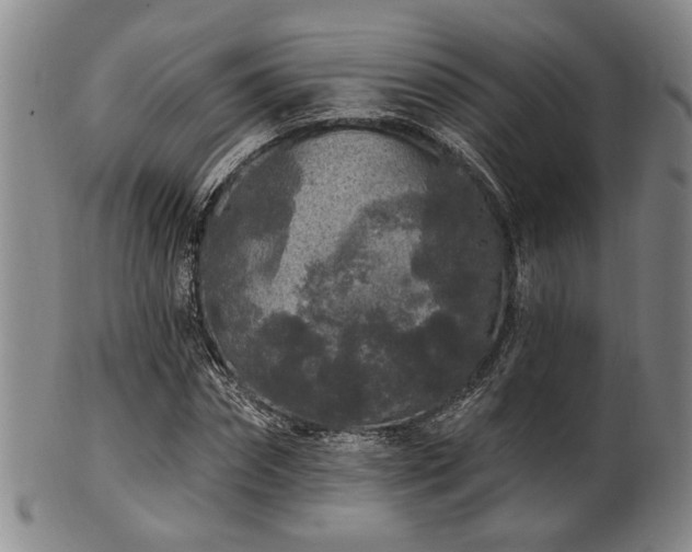 X0000102460874200808081225