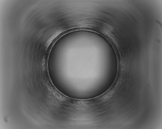 X0000102460875200808081225