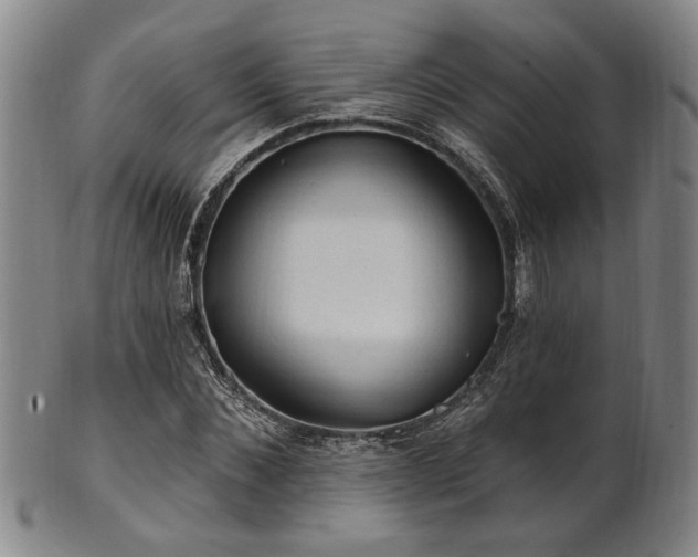 X0000102460876200808081225