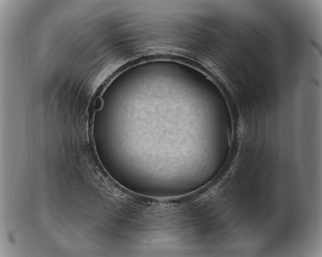 X0000102460877200808081225