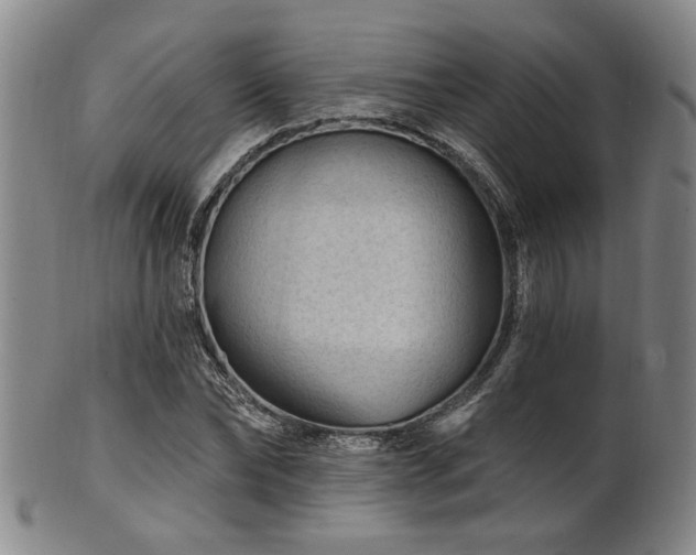 X0000102460878200808081225