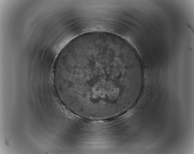 X0000102460879200808081225