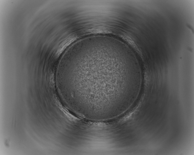 X0000102460881200808081225