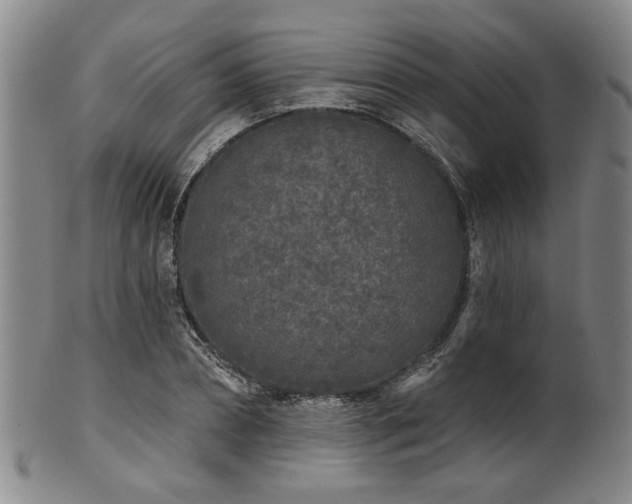 X0000102460882200808081225