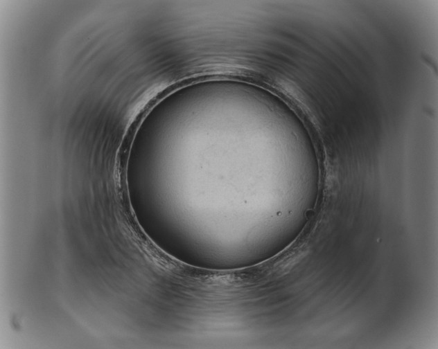 X0000102460883200808081225