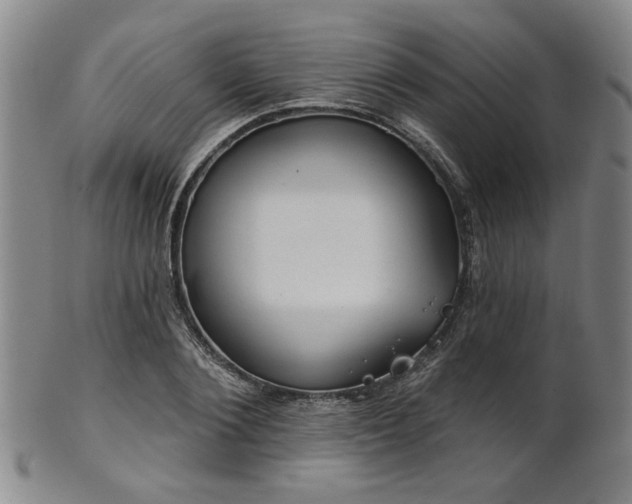 X0000102460884200808081225